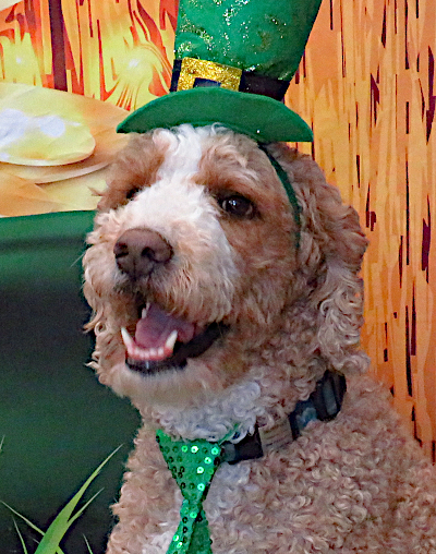 St. Patricks