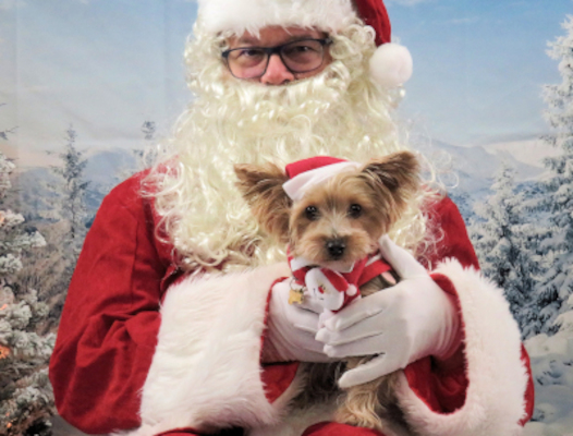 Christmas